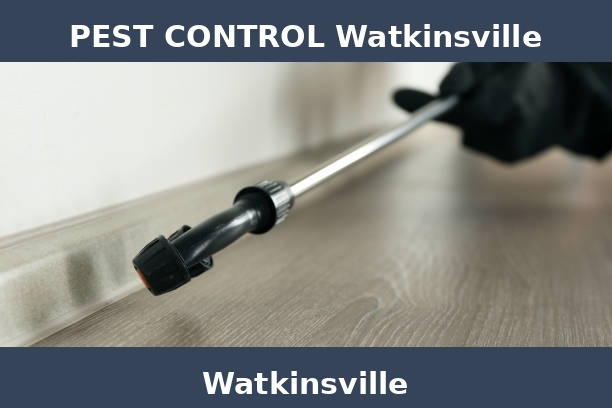 PEST CONTROL Watkinsville